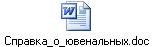 Справка_о_ювенальных.doc